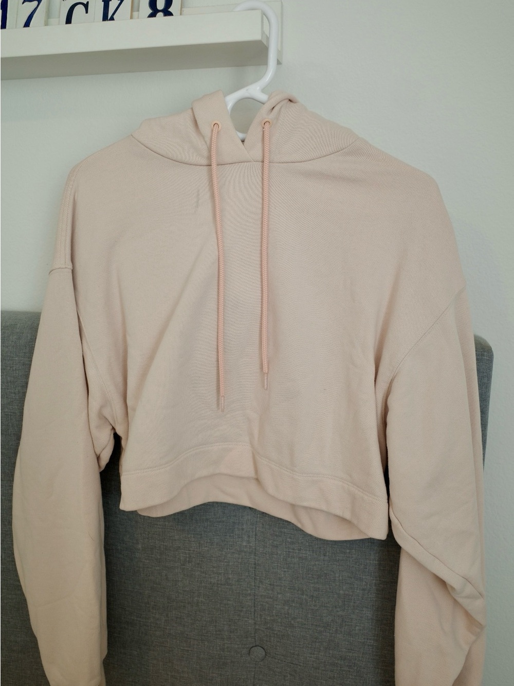 ALO Bae Hoodie in Blush
